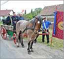 DSC_1916.JPG