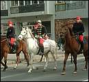 DSCF2810.jpg