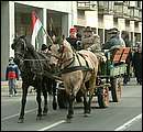 DSCF2816.jpg
