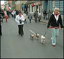 DSCF2818.jpg