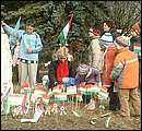 DSCF2894.jpg