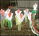 DSCF2902.jpg