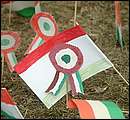 DSCF2904.jpg