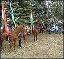 DSCF2943.jpg