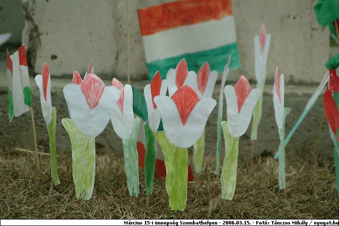 DSCF3227.jpg