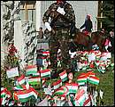 DSCF0053.jpg