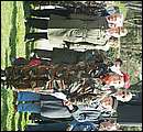 DSCF0260.jpg