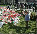 DSCF0375.jpg