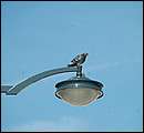 DSCF0410.jpg