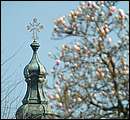 DSCF0429.jpg