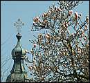 DSCF0431.jpg