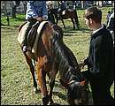 DSCF0453.jpg