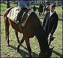 DSCF0457.jpg