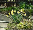 DSCF0550.jpg