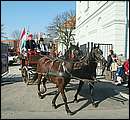 aDSCF9641.jpg
