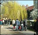 aDSCF9822.jpg
