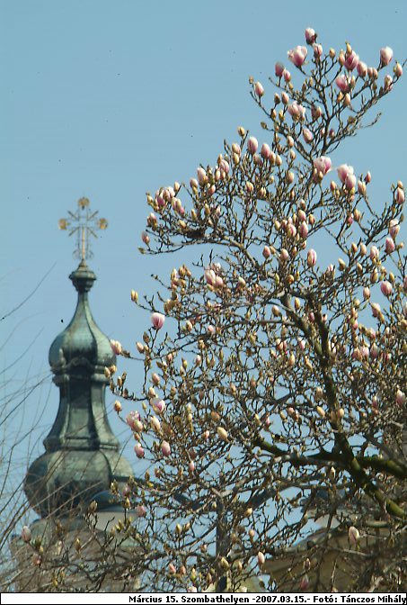 DSCF0431.jpg