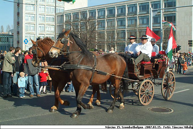 aDSCF9981.jpg