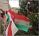 DSC_3156.JPG