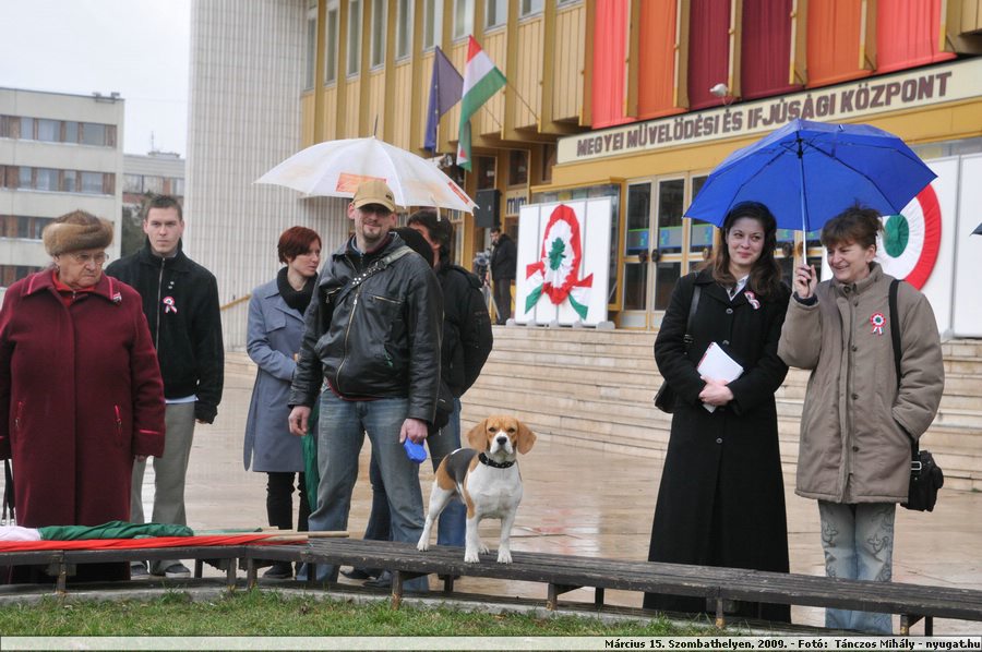 DSC_7461.JPG