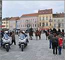 DSC_6832.JPG