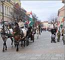 DSC_6847.JPG
