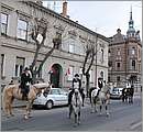 DSC_6866.JPG