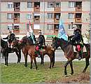 DSC_6949.JPG