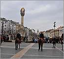 DSC_7087.JPG