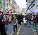DSC_7168.JPG