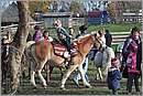 DSC_4676.JPG