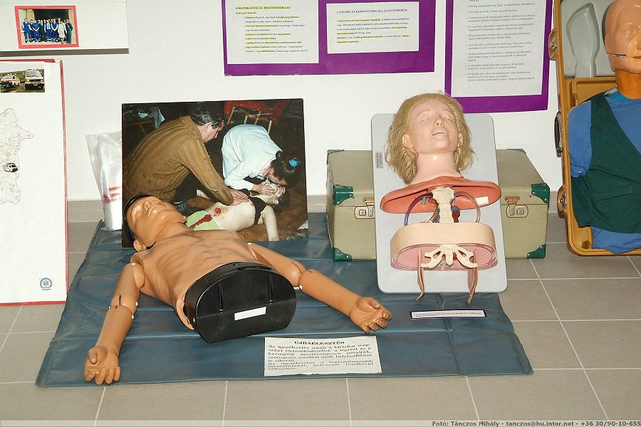 DSCF2220.jpg