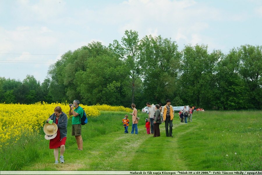 DSCF7393.JPG