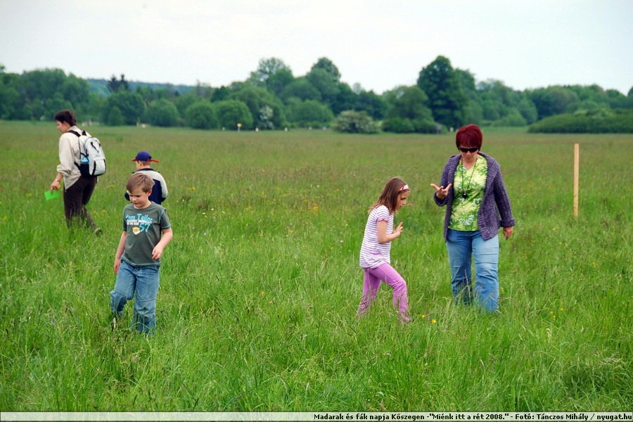 DSCF7399.JPG