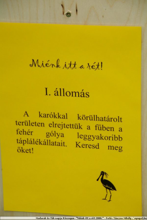 DSCF7400.JPG