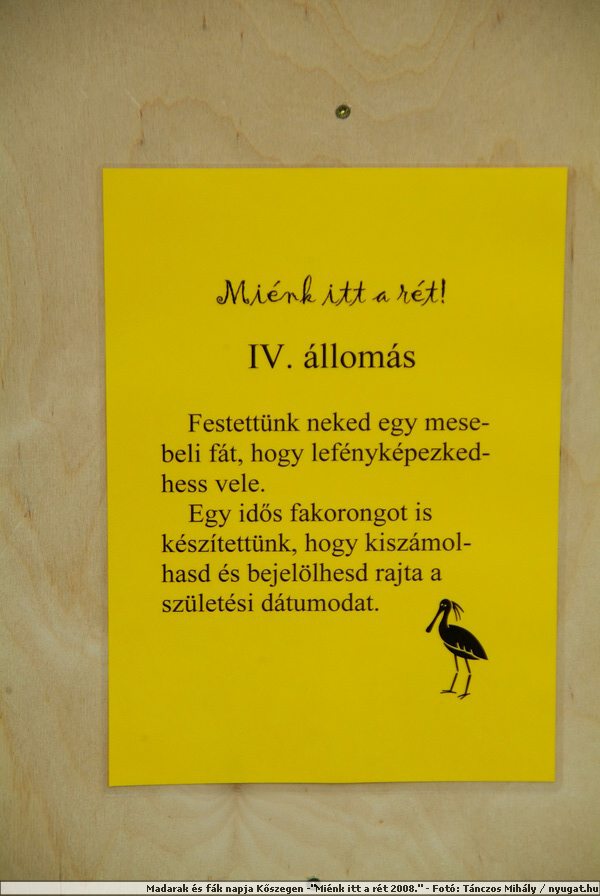 DSCF7472.JPG