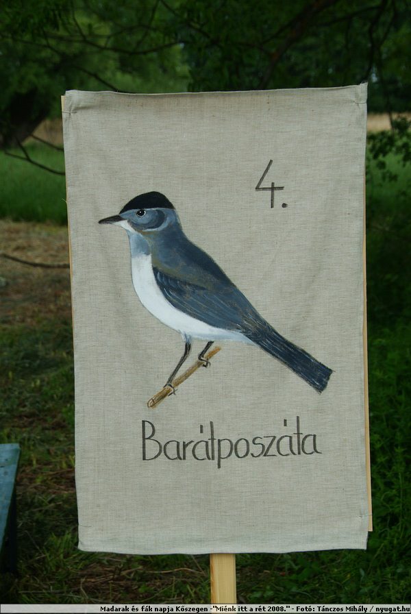 DSCF7473.JPG