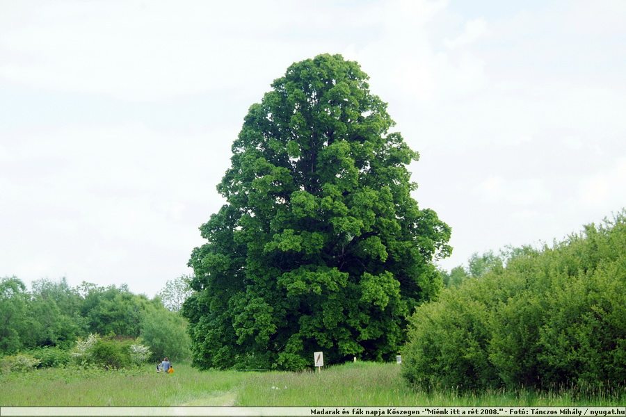 DSCF7508.JPG