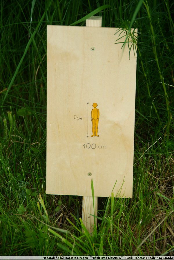 DSCF7518.JPG