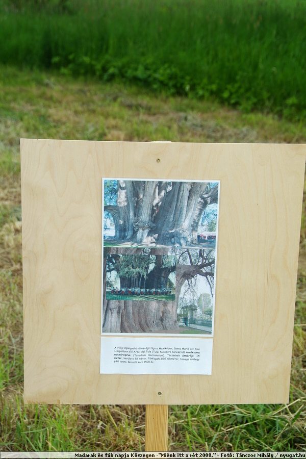 DSCF7521.JPG