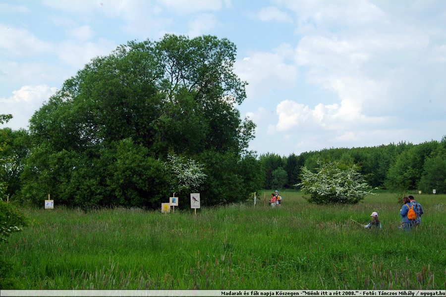 DSCF7528.JPG