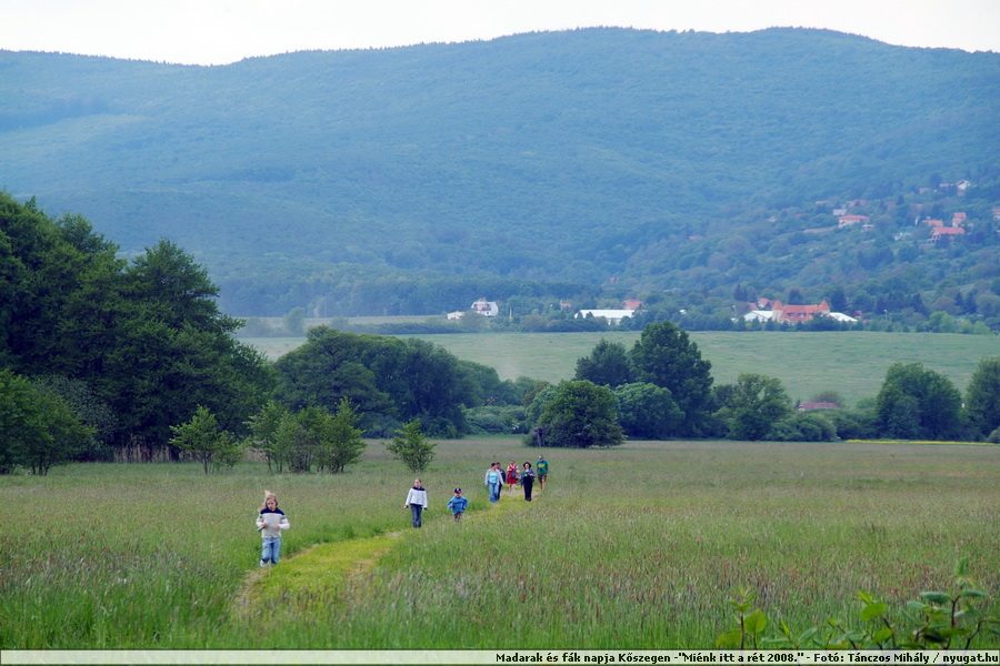 DSCF7530.JPG