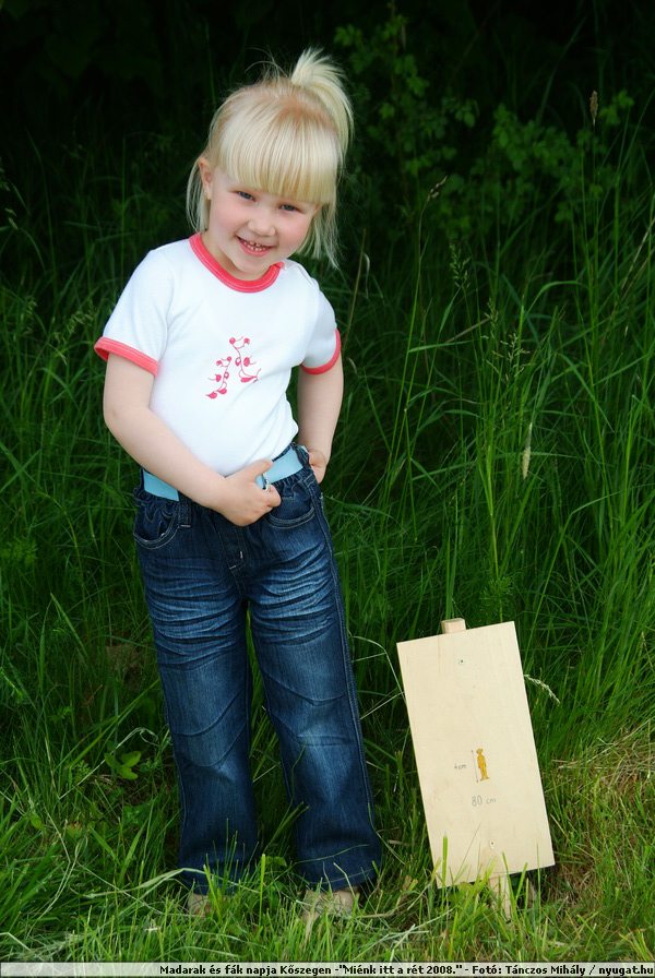 DSCF7531.JPG