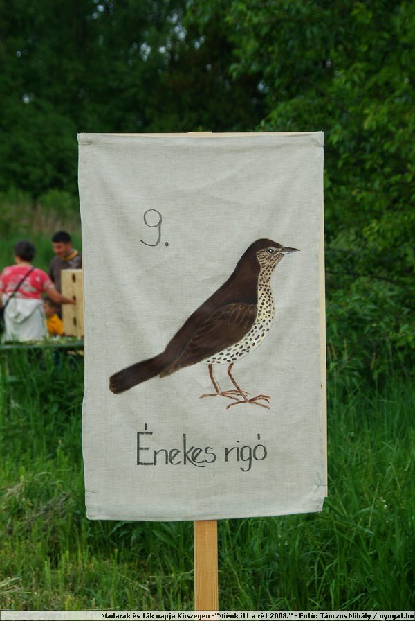 DSCF7547.JPG