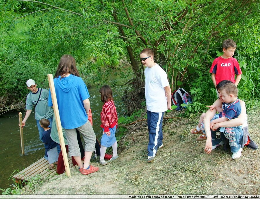 DSCF7567.JPG