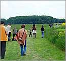 DSCF7386.JPG
