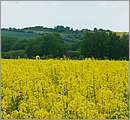 DSCF7392.JPG
