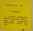DSCF7400.JPG