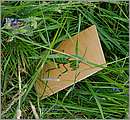 DSCF7403.JPG