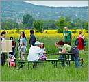 DSCF7407.JPG